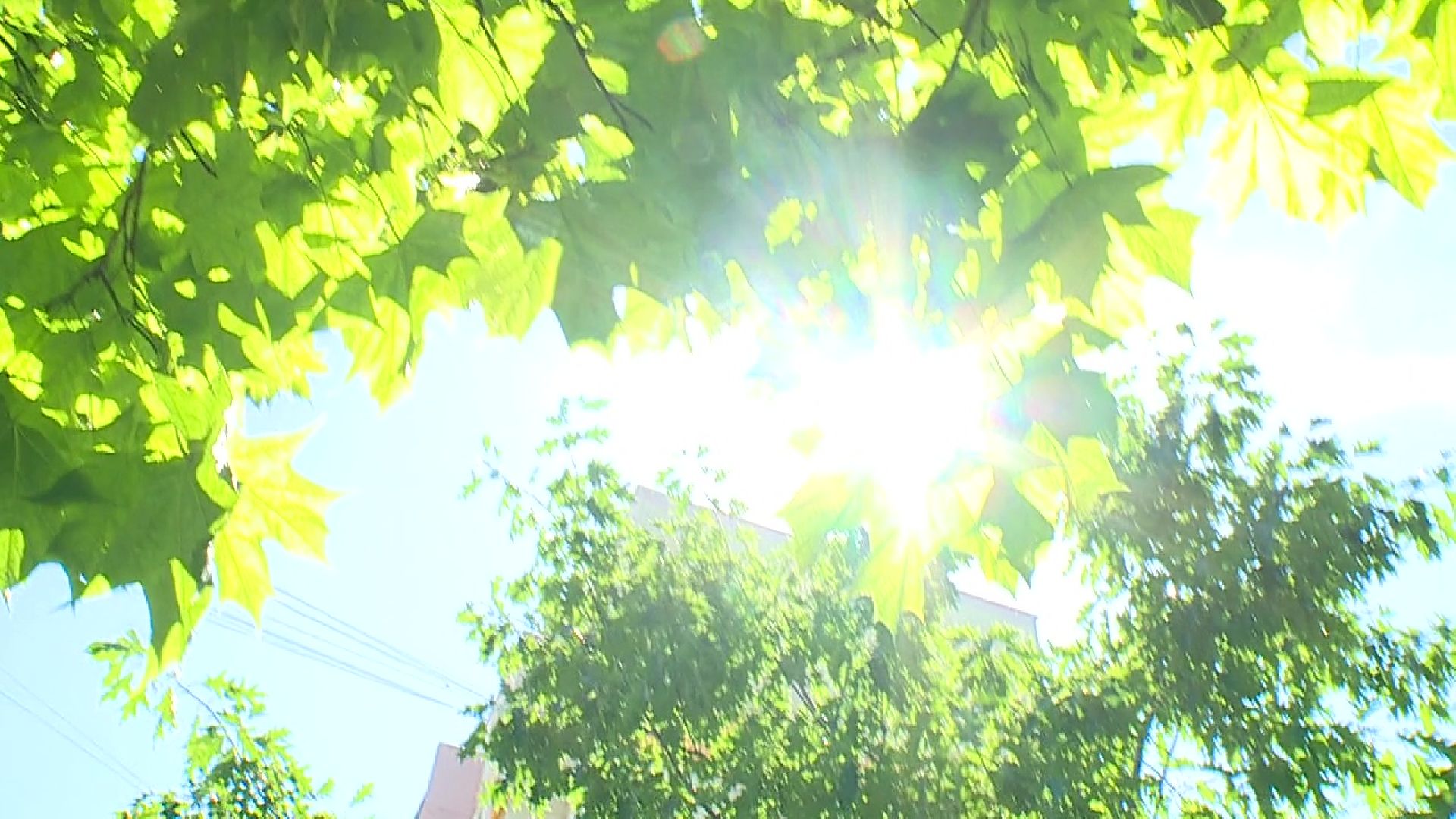 Реутов, жара, медики, солнце,