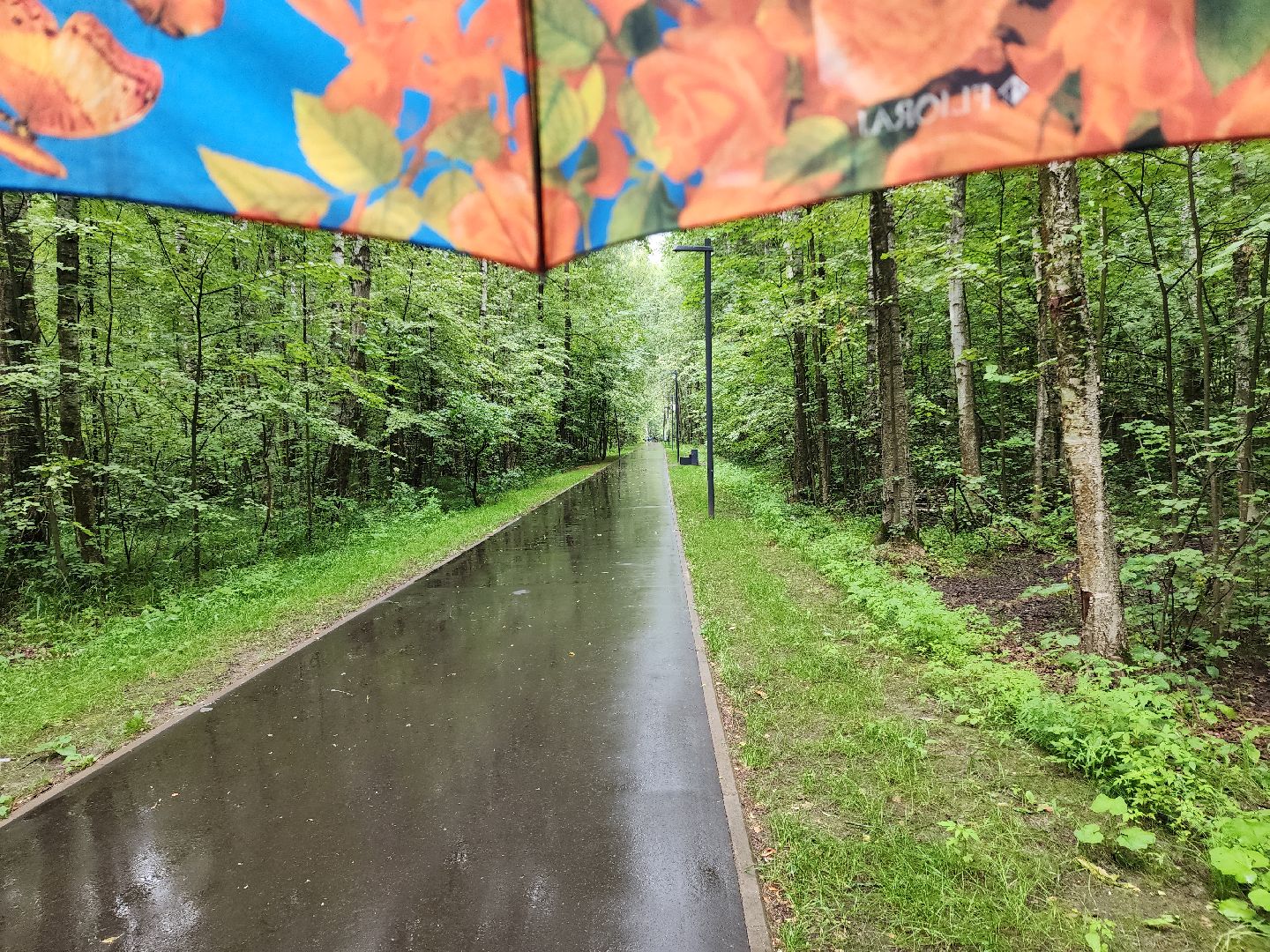 электросталь, мой город, жители города, культурный код, культурный код подмосковья, культура подмосковья, парк авангард, парки подмосковья,