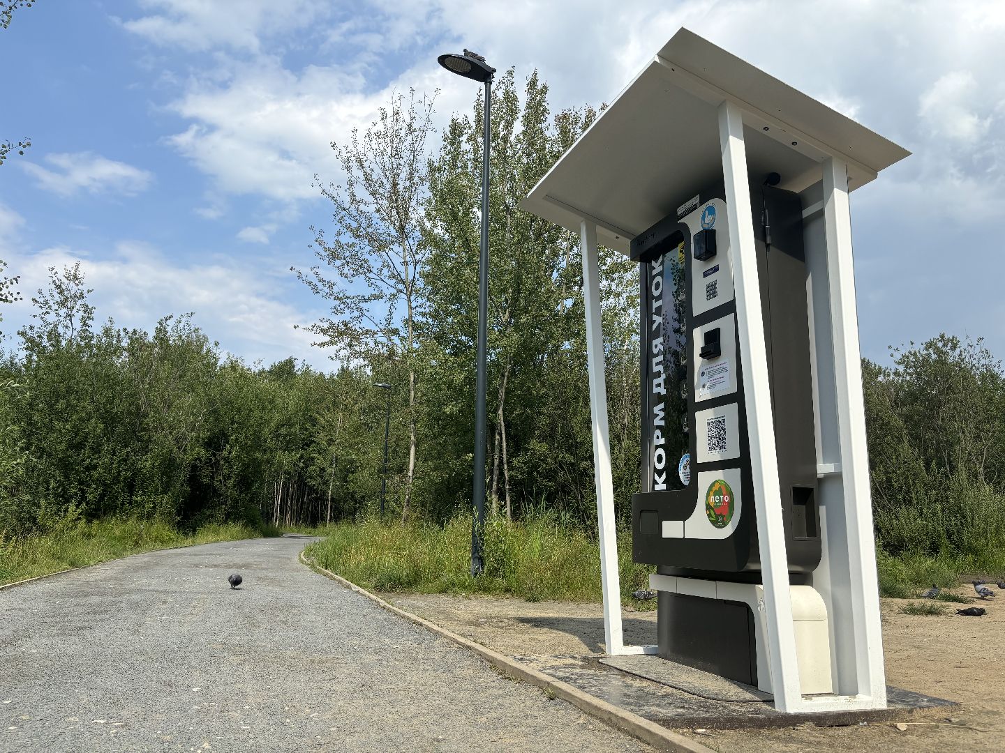 ольгинский лесопарк, корм для уток,