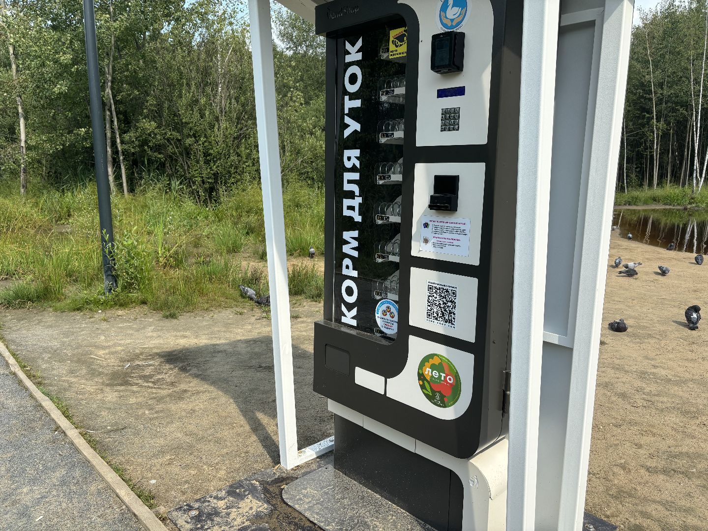 ольгинский лесопарк, корм для уток,