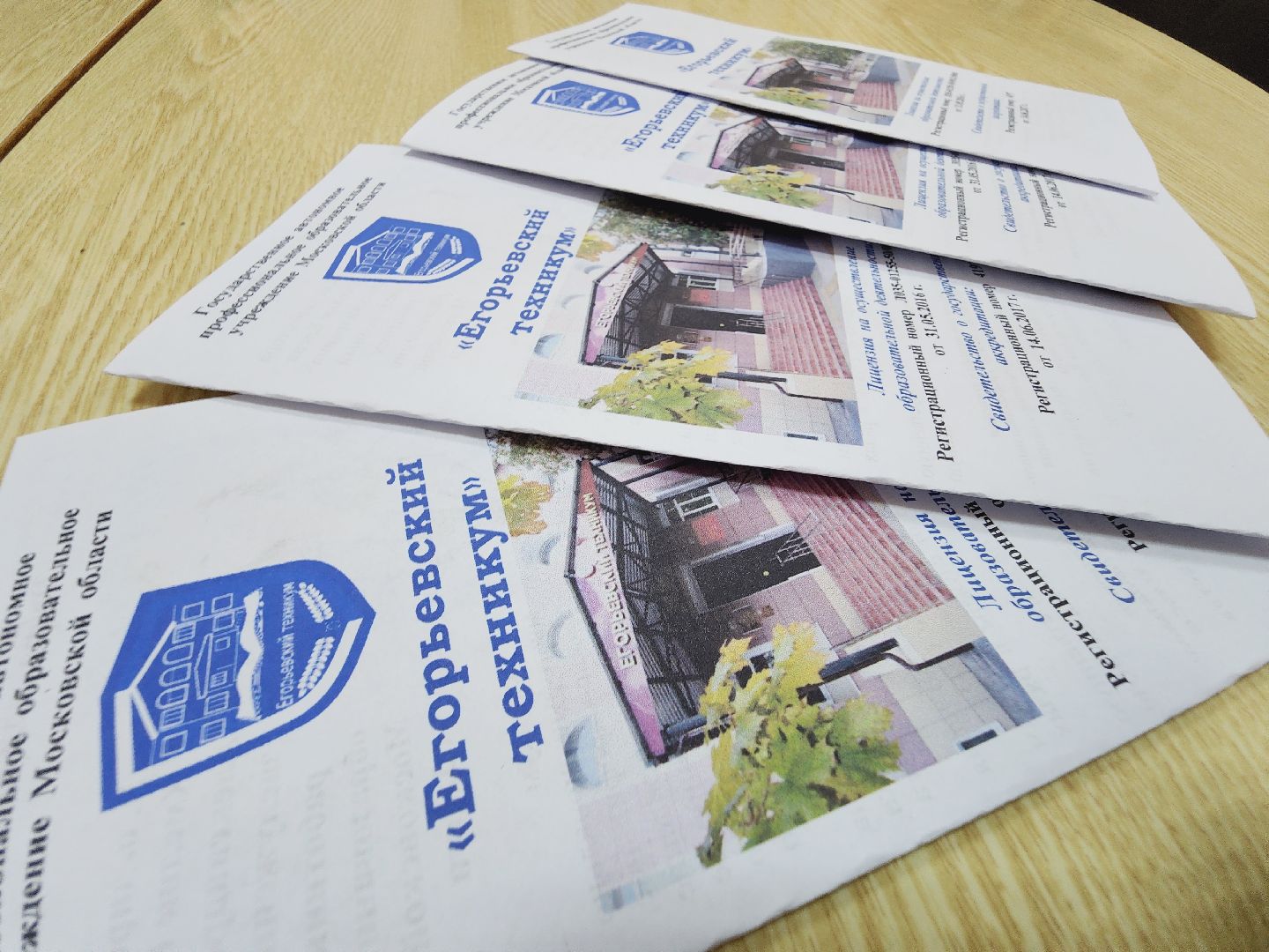 Егорьевск, Подмосковье, Московская область,Профессионалитет,