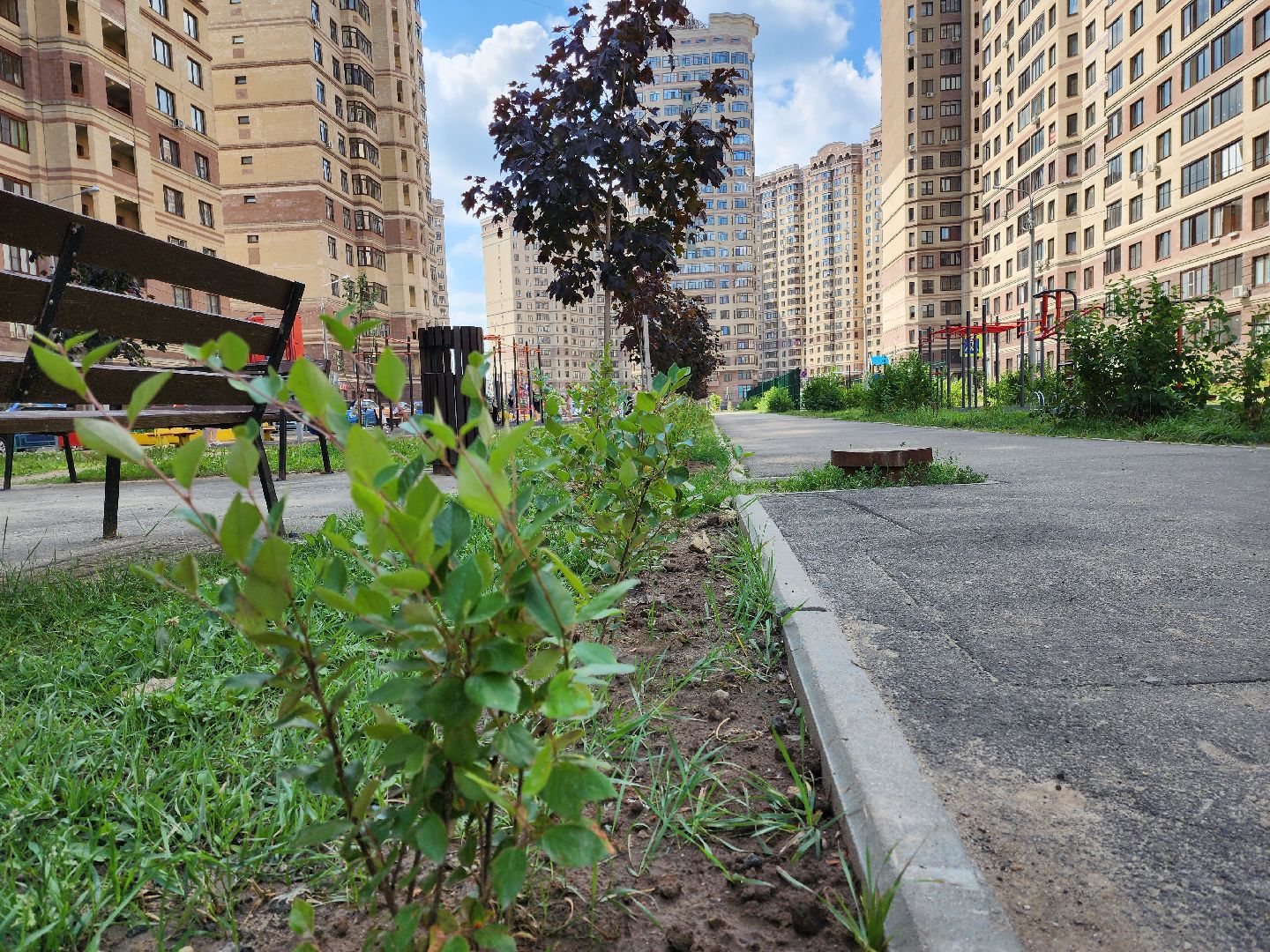 раменское, благоустройство, дополнительное озеленение, северное шоссе,