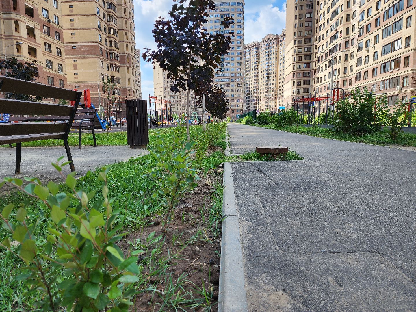 раменское, благоустройство, дополнительное озеленение, северное шоссе,