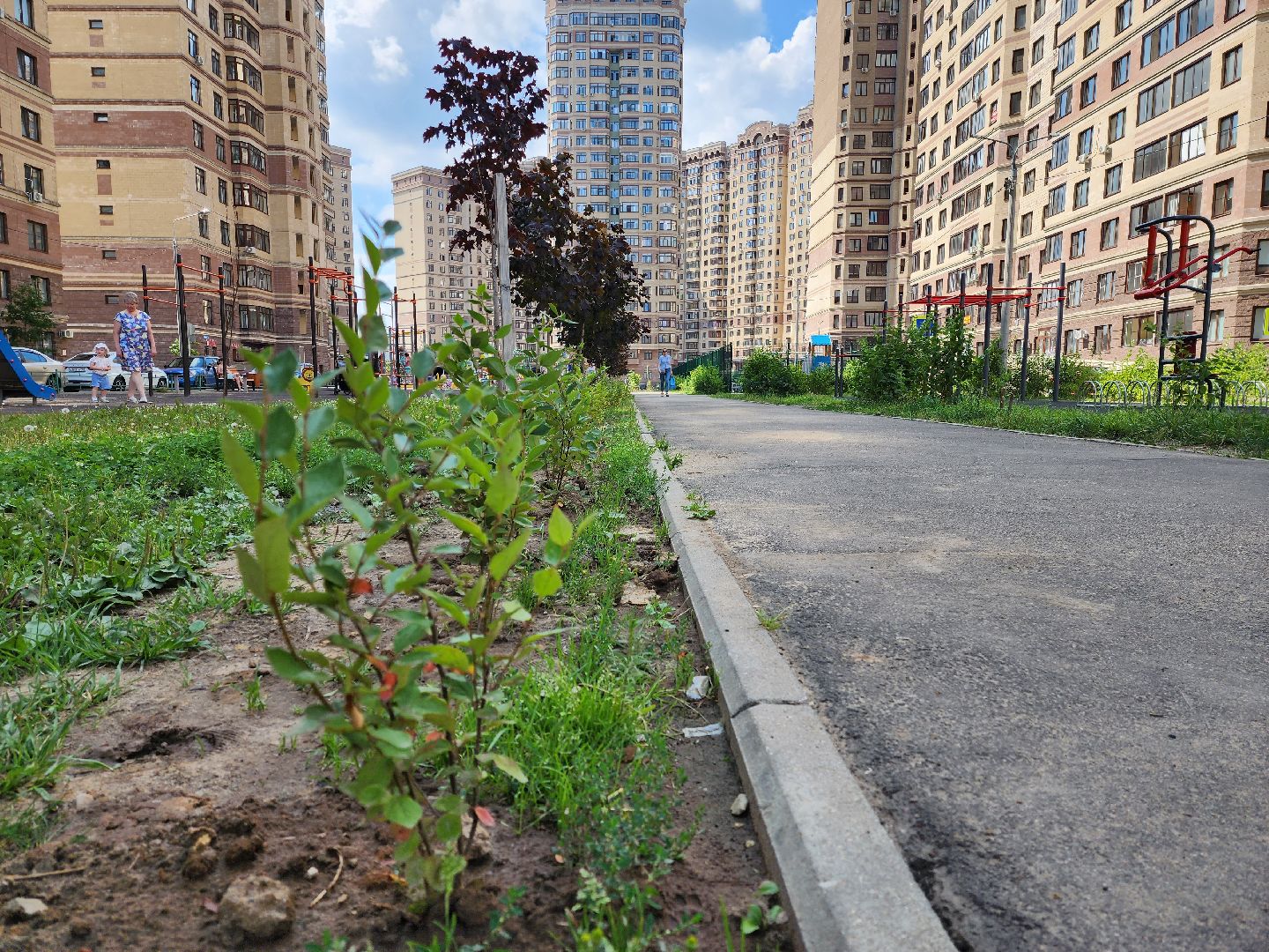 раменское, благоустройство, дополнительное озеленение, северное шоссе,