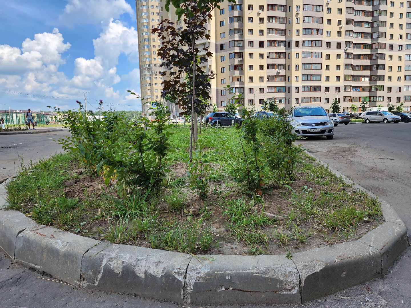 раменское, благоустройство, дополнительное озеленение, северное шоссе,