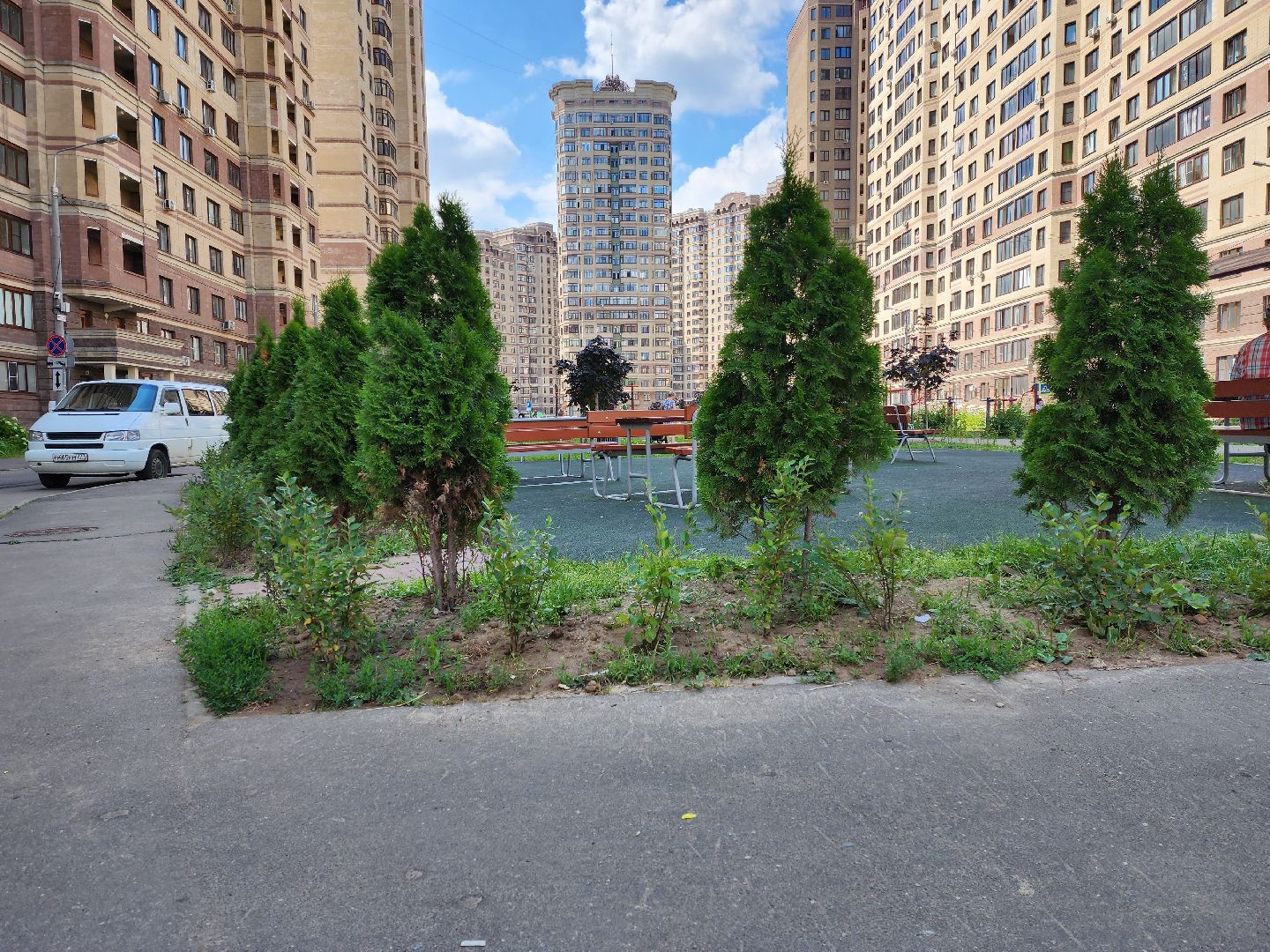 раменское, благоустройство, дополнительное озеленение, северное шоссе,