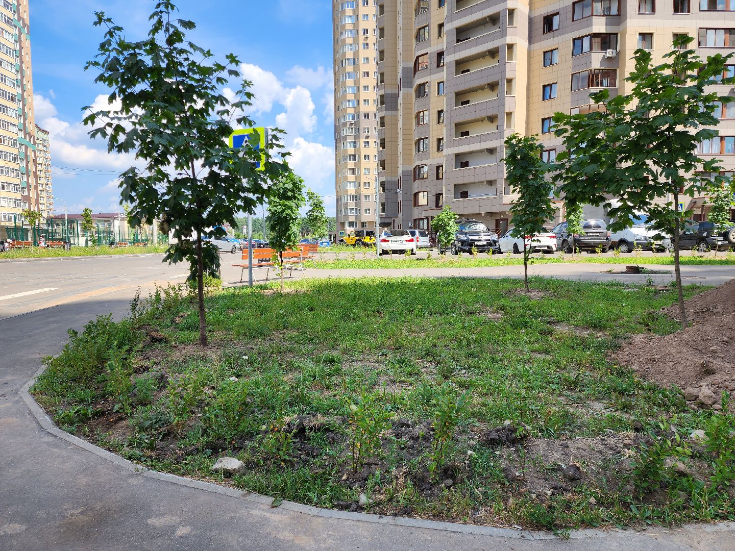 раменское, благоустройство, дополнительное озеленение, северное шоссе,