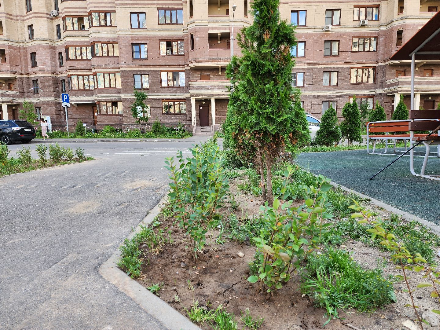 раменское, благоустройство, дополнительное озеленение, северное шоссе,