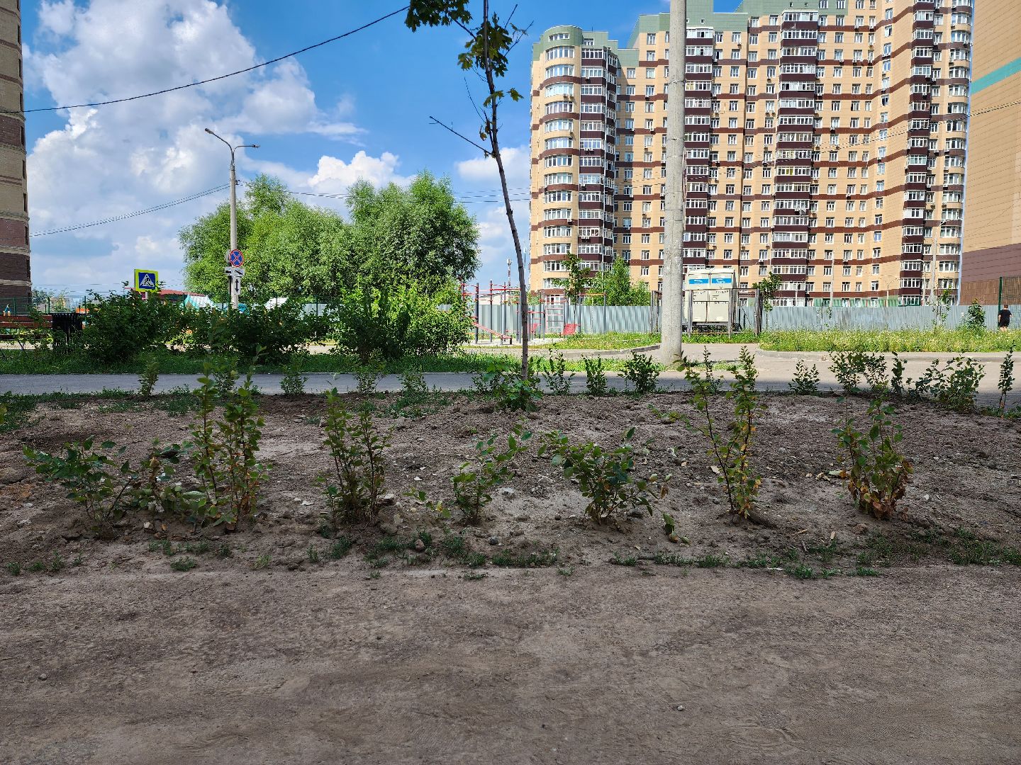 раменское, благоустройство, дополнительное озеленение, северное шоссе,