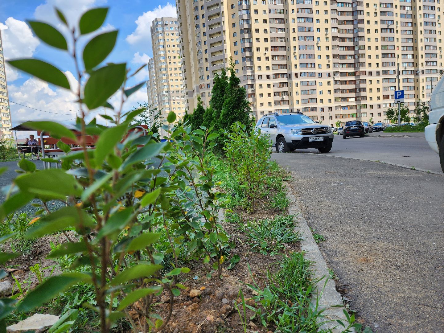 раменское, благоустройство, дополнительное озеленение, северное шоссе,