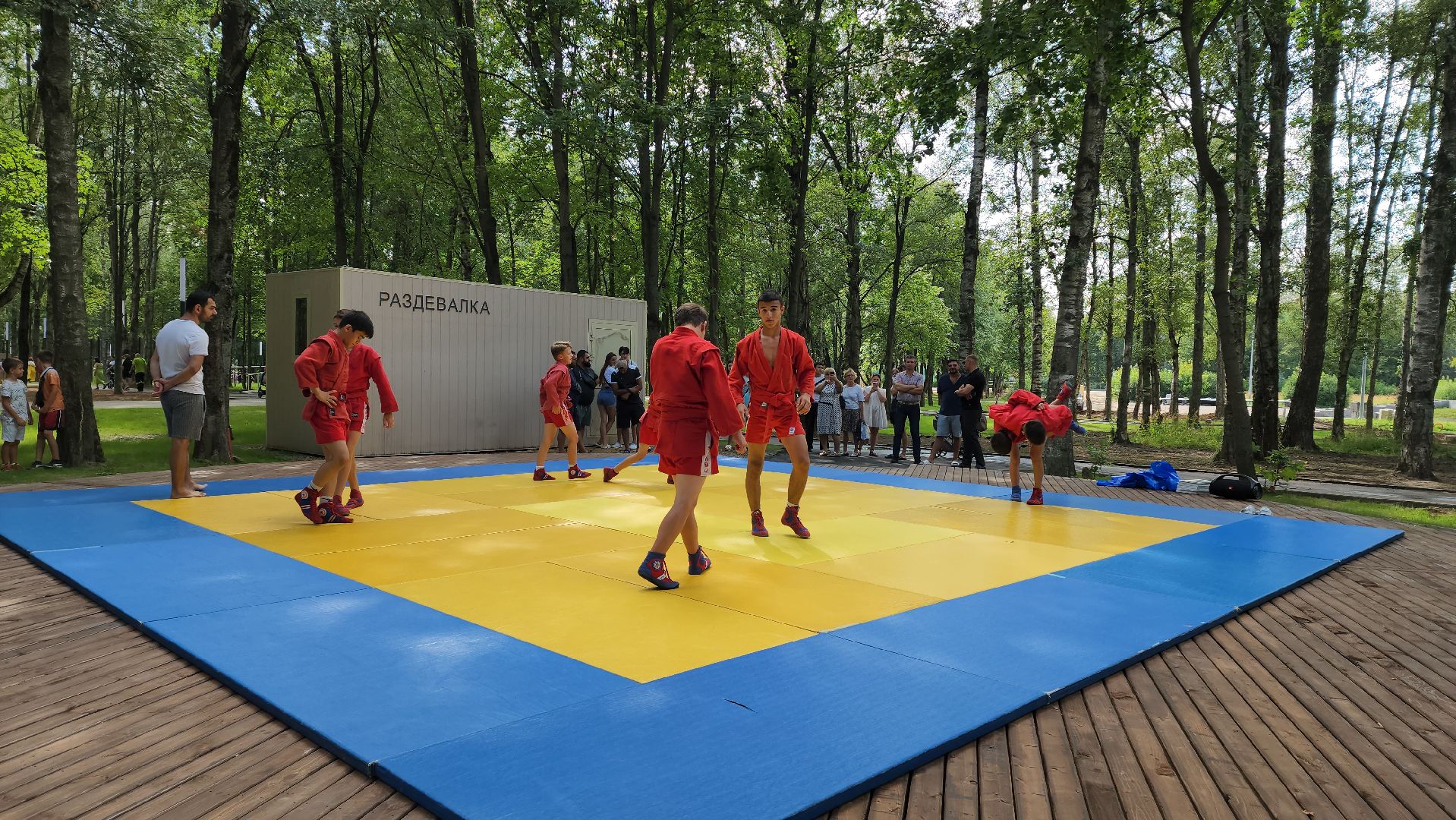 Самбо, Лобня, Малая сцена,самбо в парке,