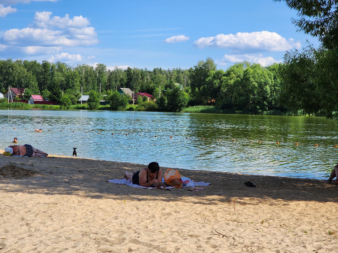 электроугли, муниципальный пляж, жители, общество, жара, лето, богородский городский округ,