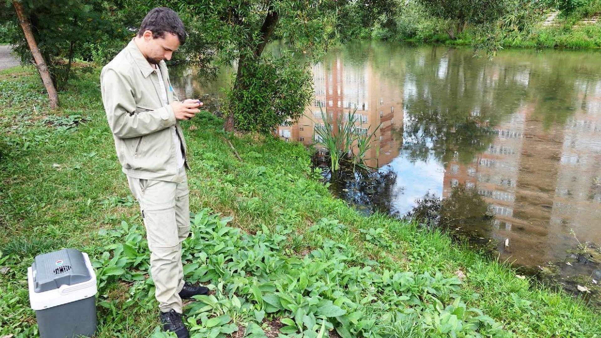 Экология, Министерство экологии МО,Утки, Сергиев Посад, Ветеринарная служба,