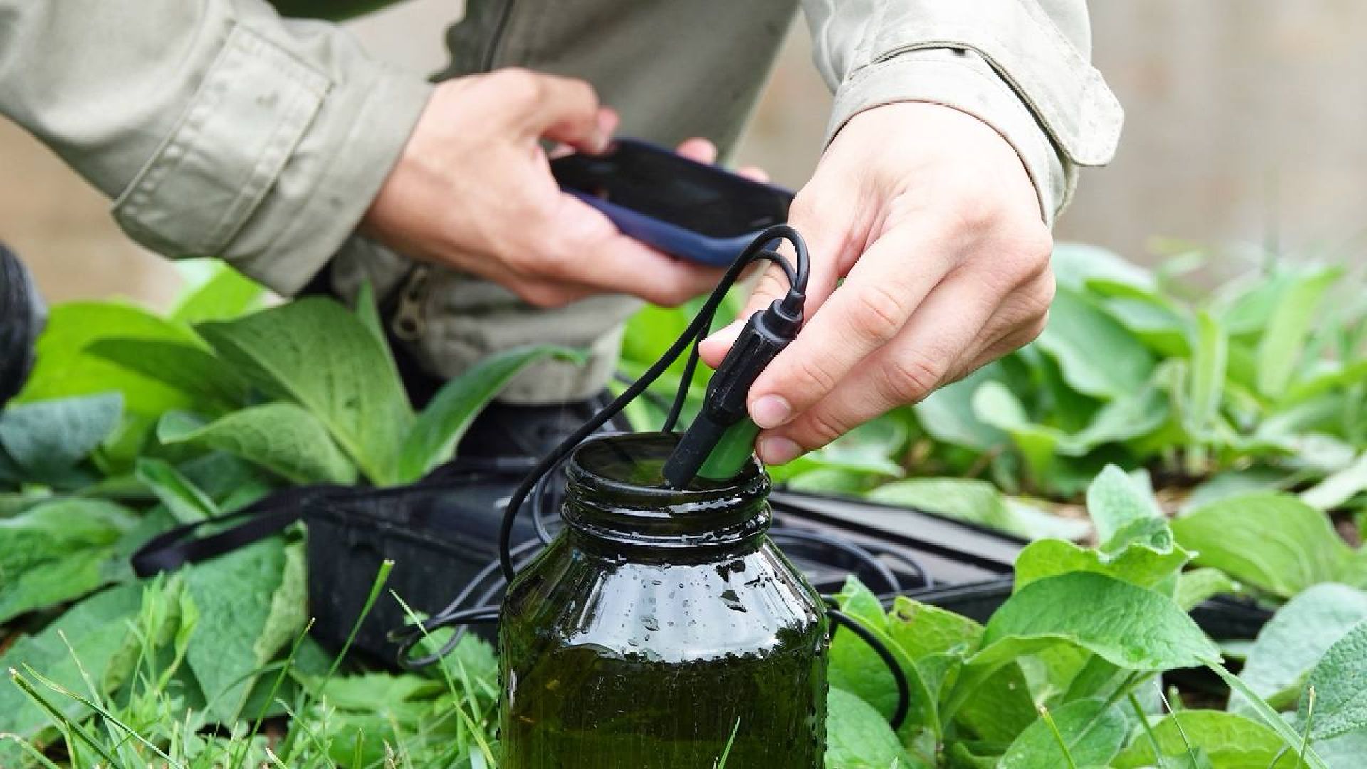 Экология, Министерство экологии МО,Утки, Сергиев Посад, Ветеринарная служба,