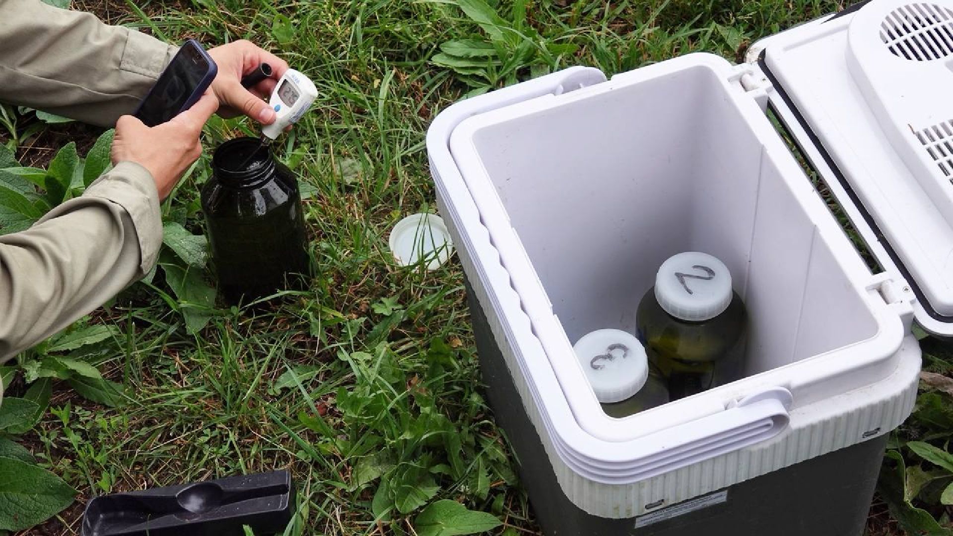 Экология, Министерство экологии МО,Утки, Сергиев Посад, Ветеринарная служба,