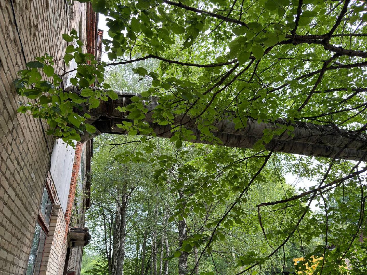 трубы, теплосеть, городской округ восход, подрядная организация,
