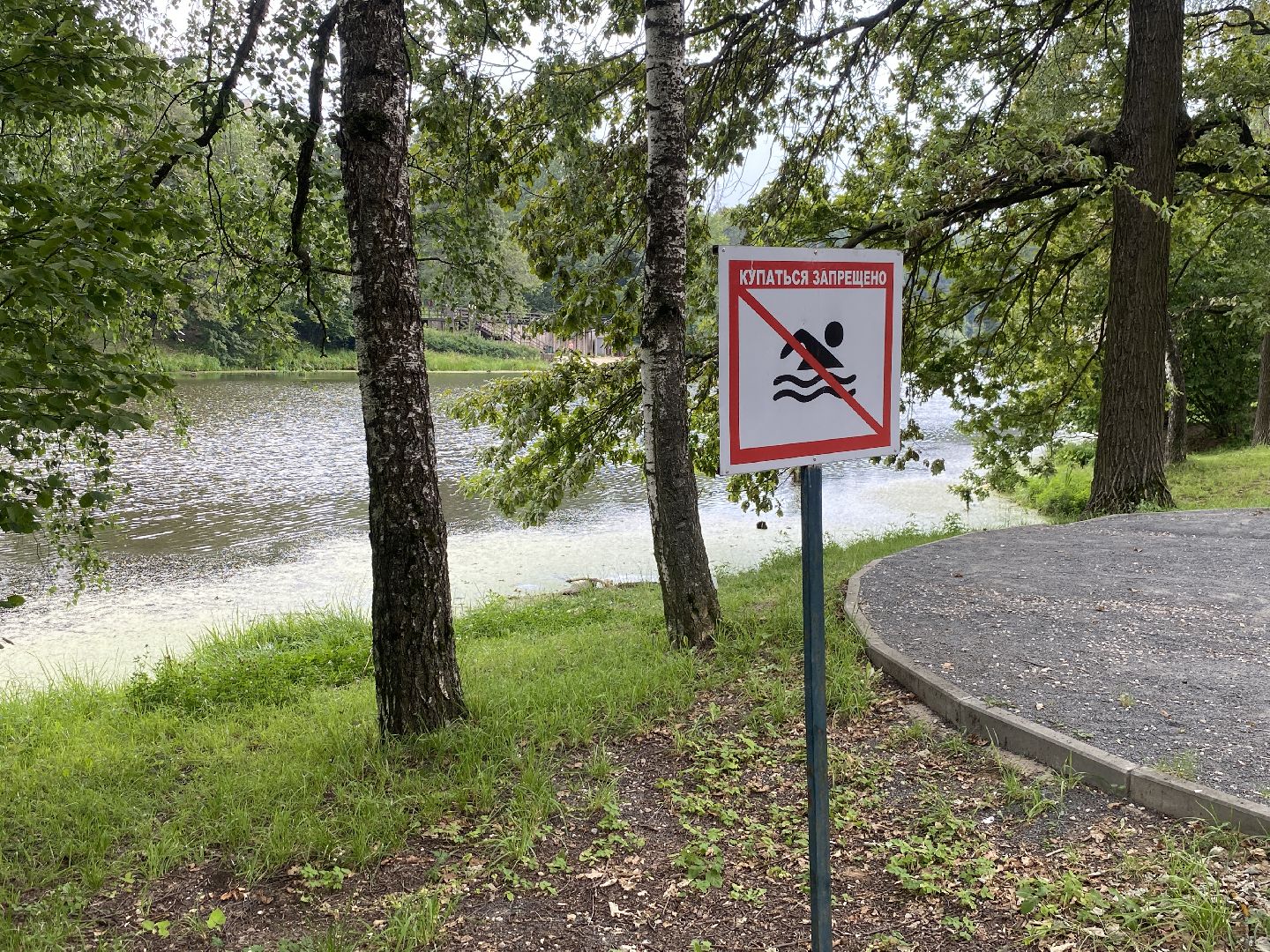 безопасность на воде, озера Власихи, пляж во власихе, зона отдыха Власиха, дети на воде,
