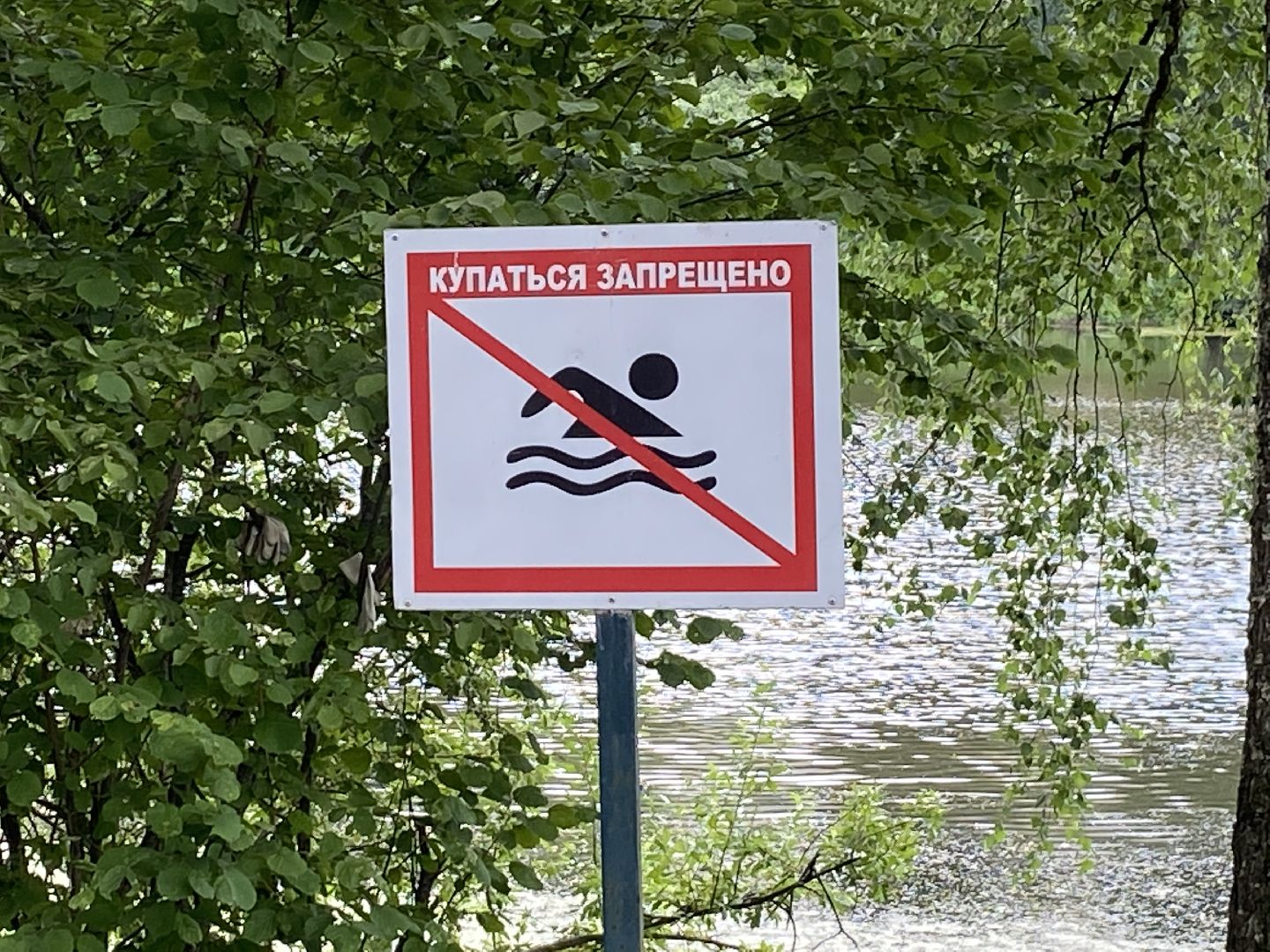 безопасность на воде, озера Власихи, пляж во власихе, зона отдыха Власиха, дети на воде,