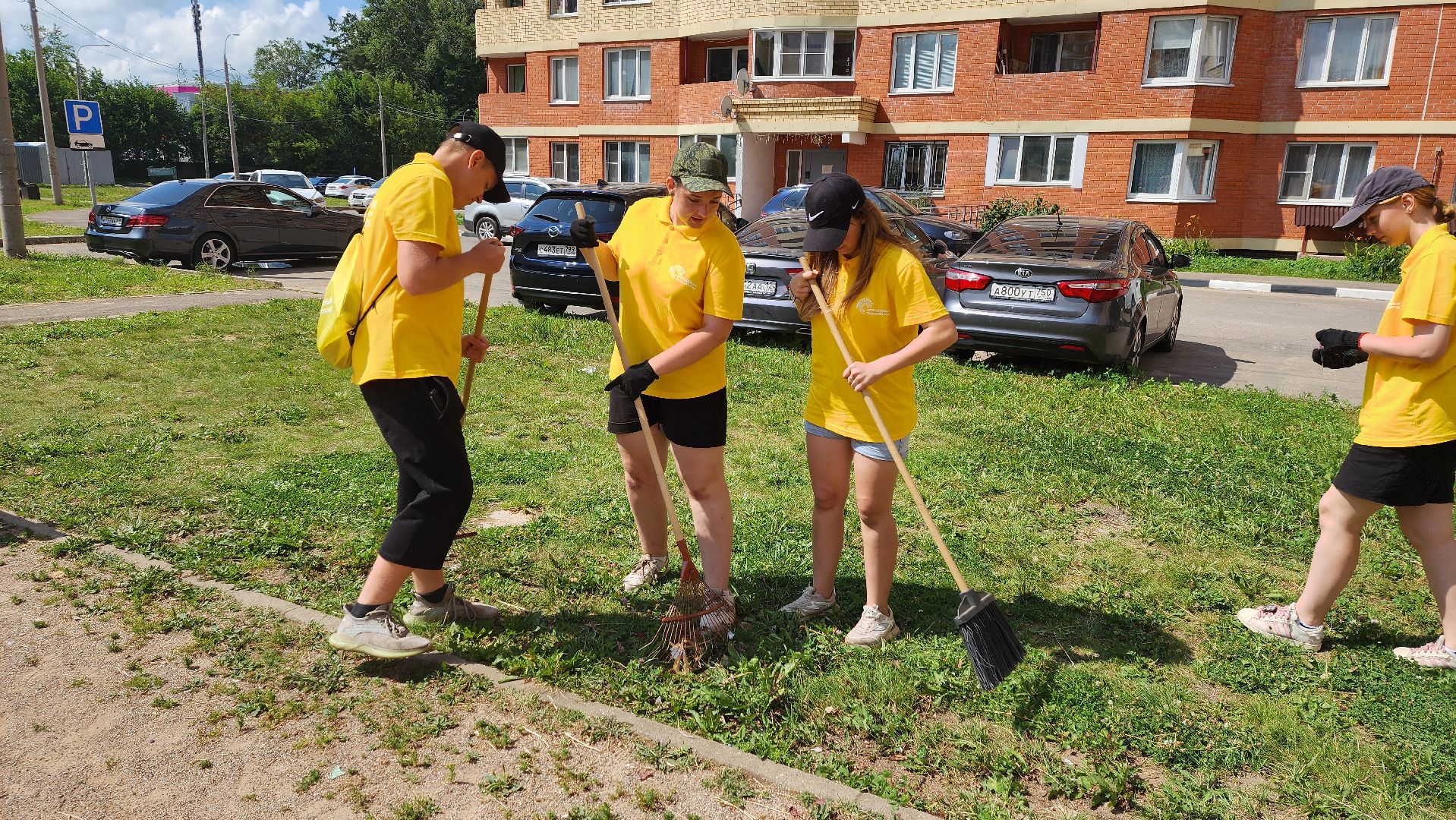 Солнечногорск, благоустройство, трудовой отряд, Чистогорье,