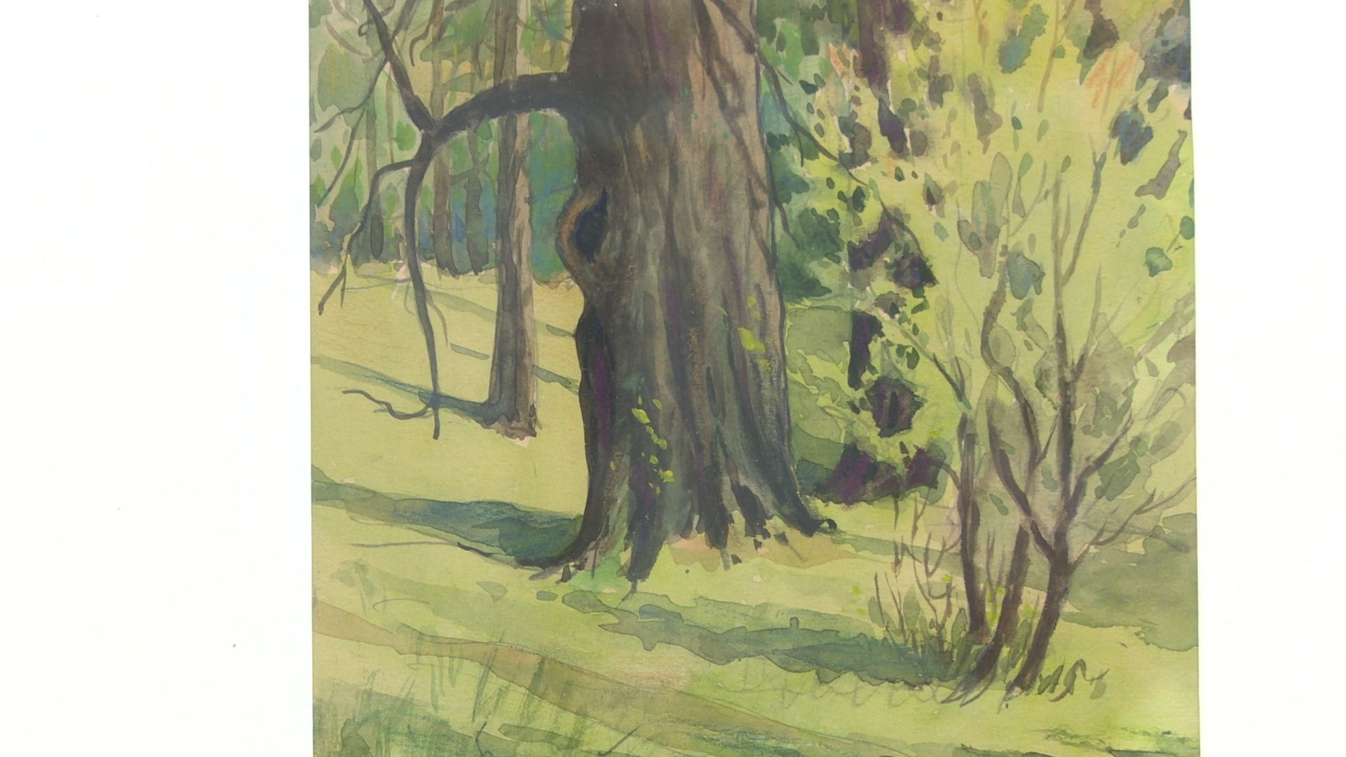 Реутов, выставка, музей, акварель, картиры, Петр Кучерь,