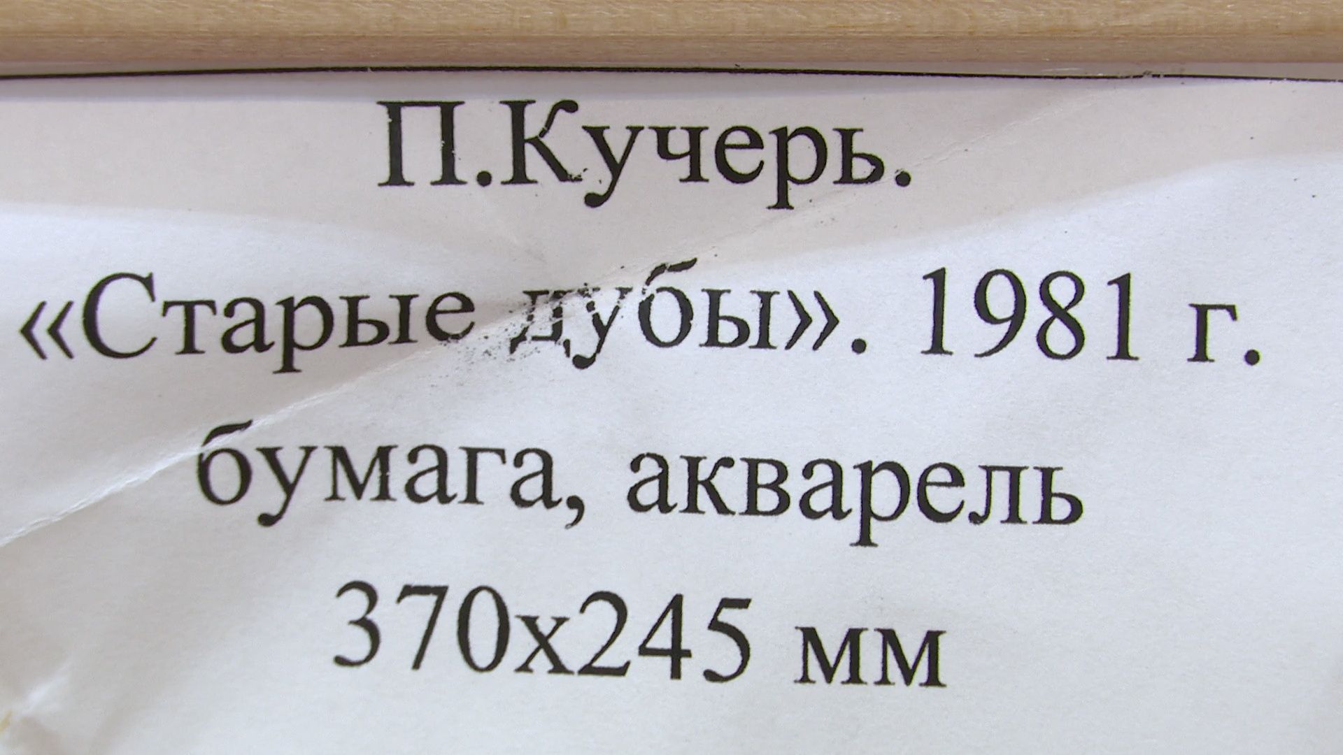 Реутов, выставка, музей, акварель, картиры, Петр Кучерь,