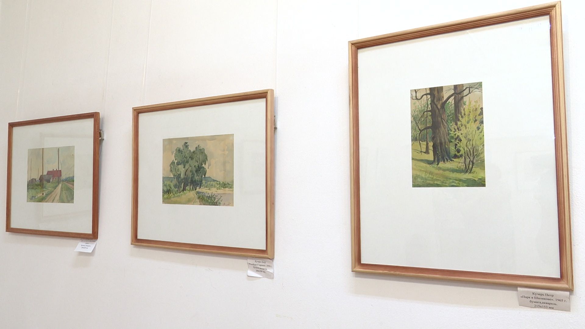 Реутов, выставка, музей, акварель, картиры, Петр Кучерь,