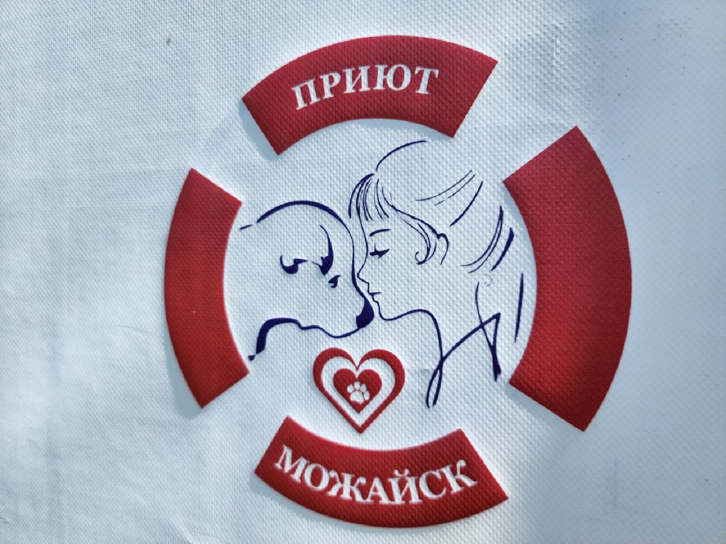 можайск, можайский городской округ, подмосковье, приют для животных, бездомные собаки, животные, ищут дом, бездомные животные,