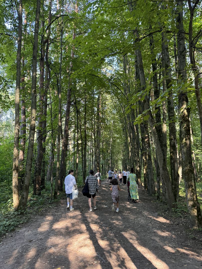 Парк Малевича, Новый маршрут, Третьяковская галерея, современное искусство,