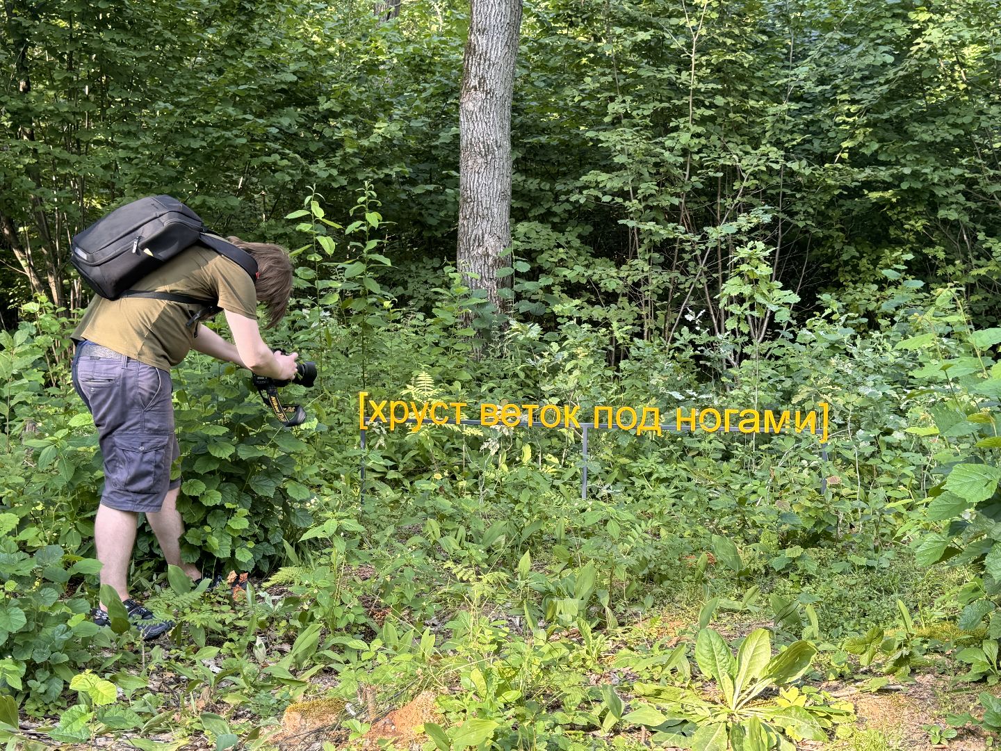 Парк Малевича, Новый маршрут, Третьяковская галерея, современное искусство,