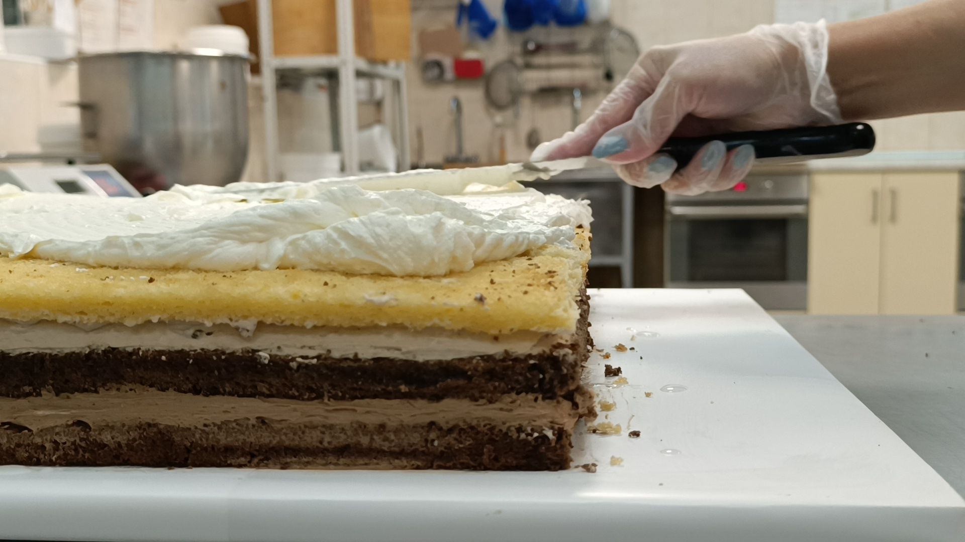 торт, книга рекордов россии, лобня,