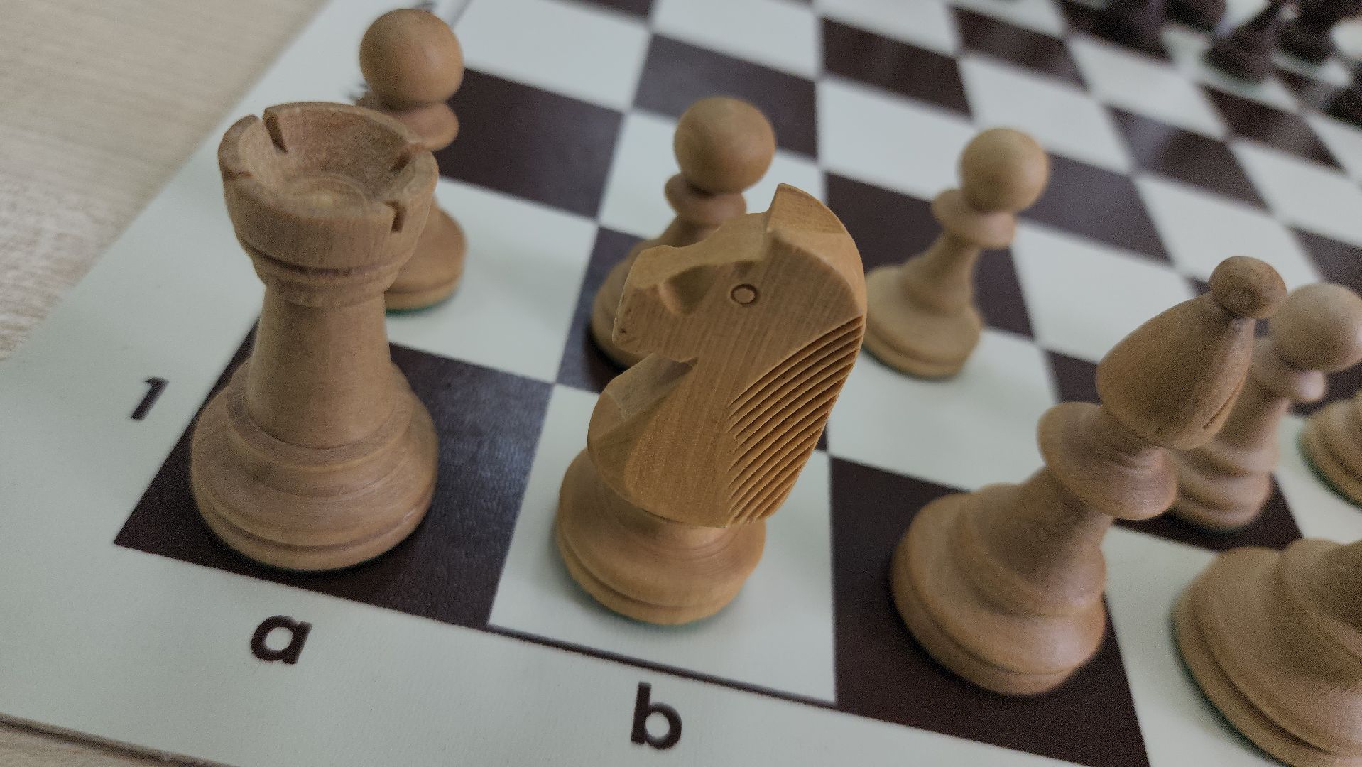 егорьевск, спортивная школа, школа лидер,