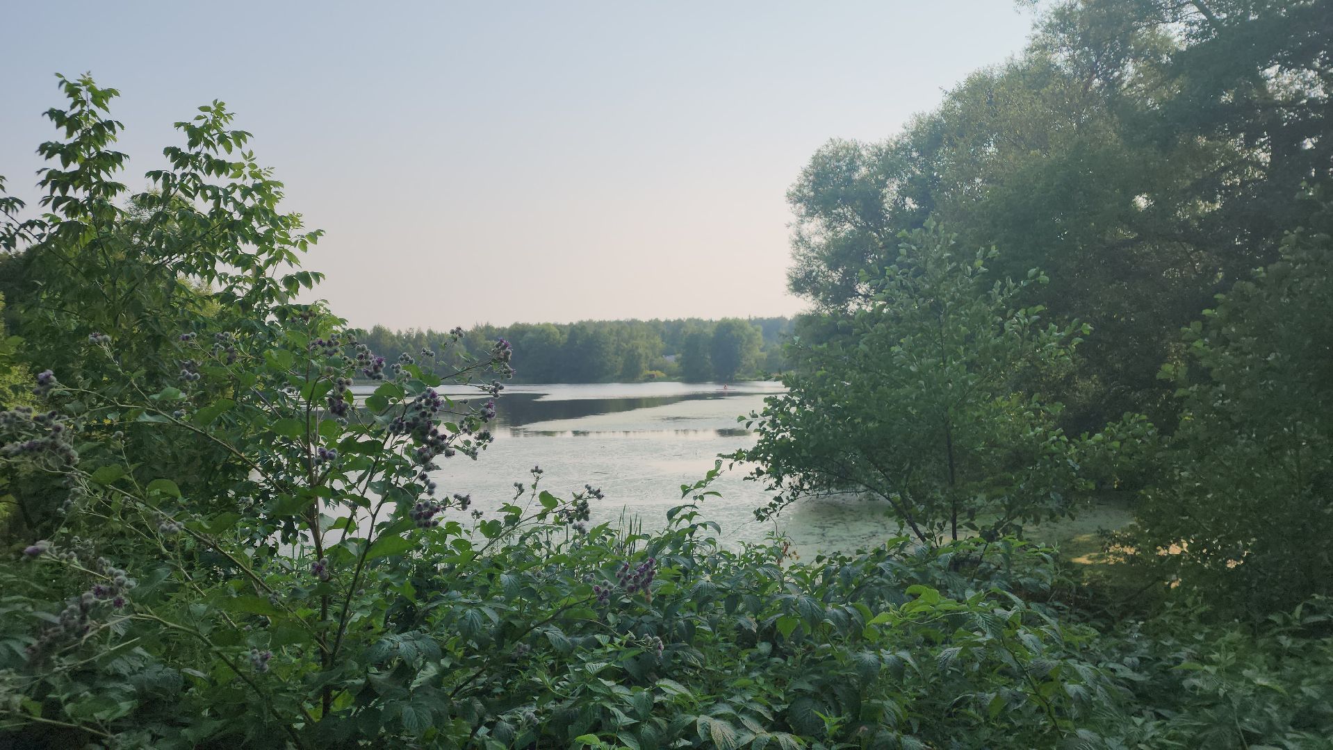 ступино, выездная администрация, транспорт,