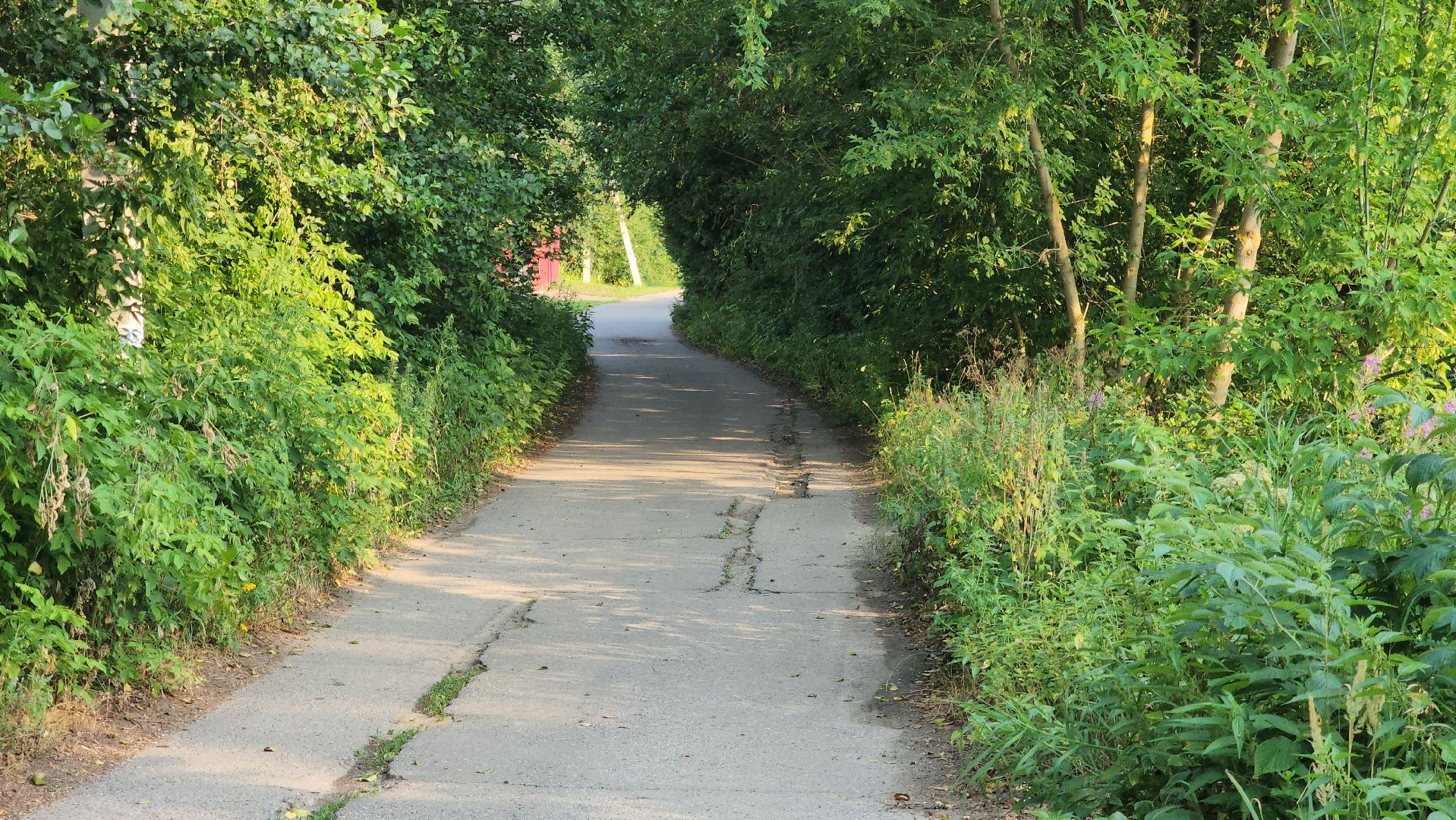 ступино, выездная администрация, транспорт,