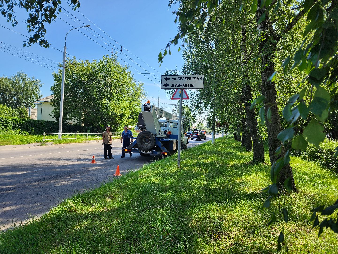 Опиловка деревьев, Подольск, Муниципальное предприятие благоустройства, Березы,