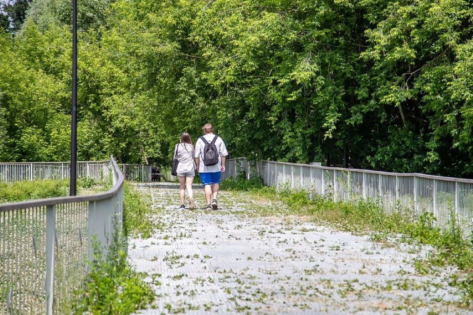 Звенигород, Благоустройство, Туризм,