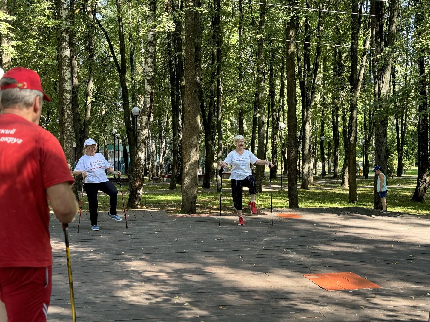 активное долголетие, скандинавская ходьба, центральный парк видного, спорт в ленинском округе, ленинский городской округ,