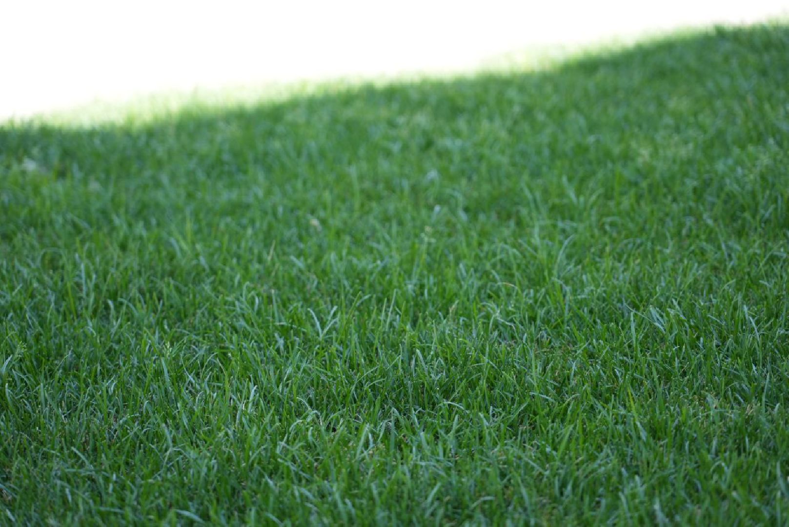 Благоустройство, Дружба поколений, Прогулочная зона, Прогулочный маршрут,