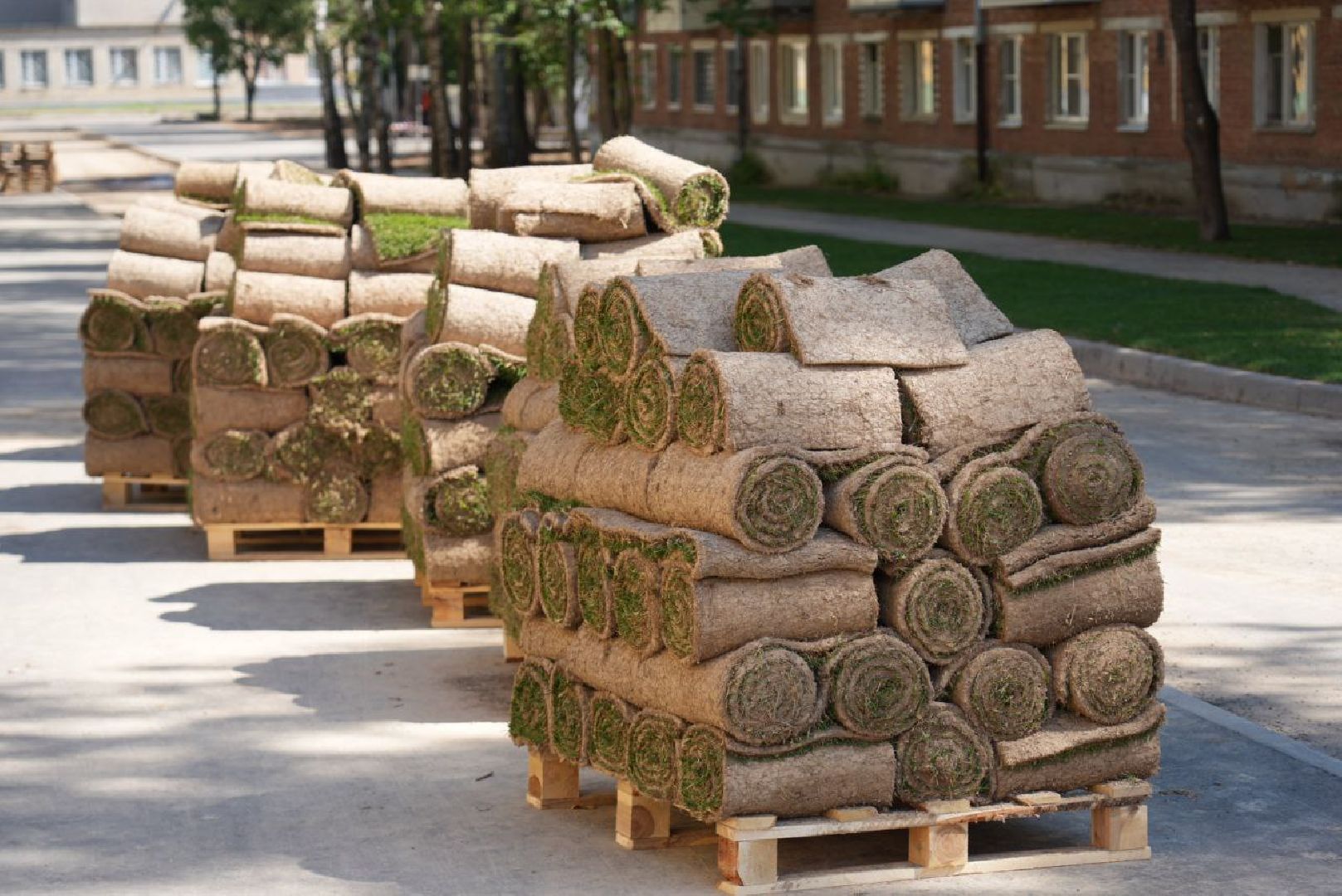 Благоустройство, Дружба поколений, Прогулочная зона, Прогулочный маршрут,