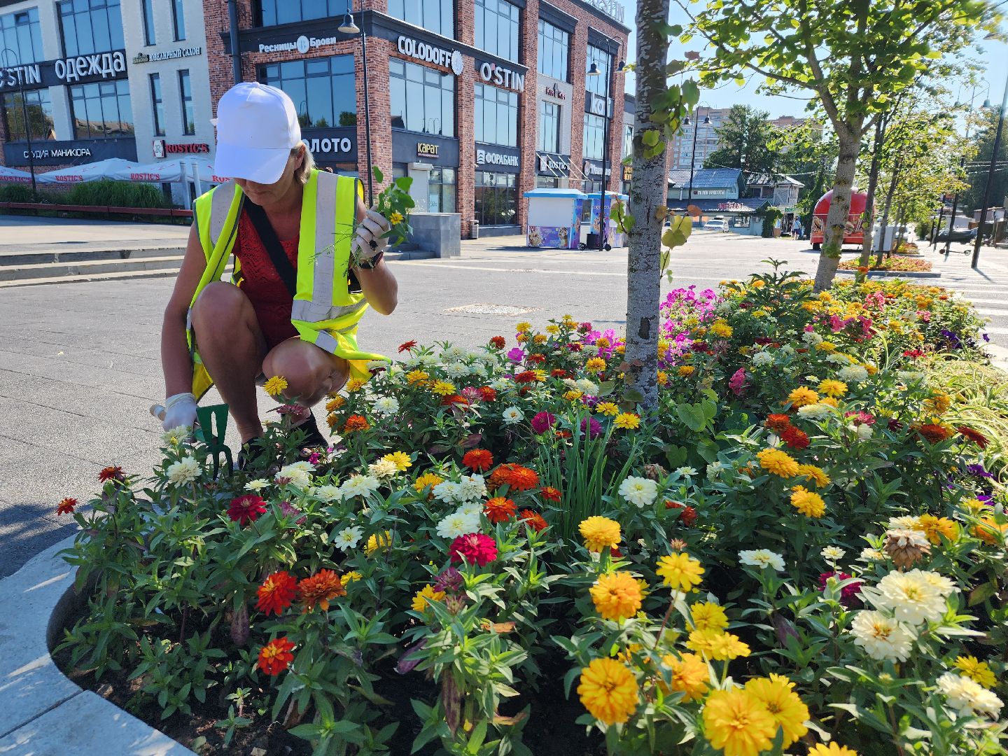 цветы, благоустройство, цветники, клумбы,