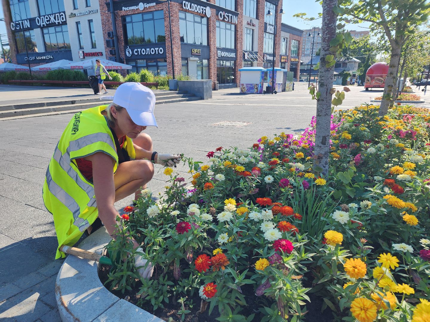 цветы, благоустройство, цветники, клумбы,