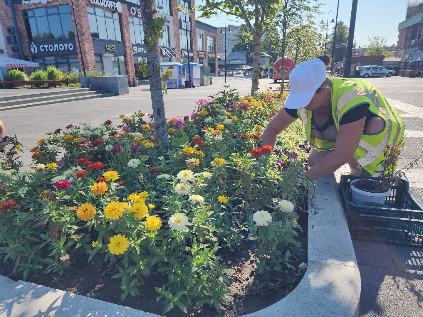 цветы, благоустройство, цветники, клумбы,