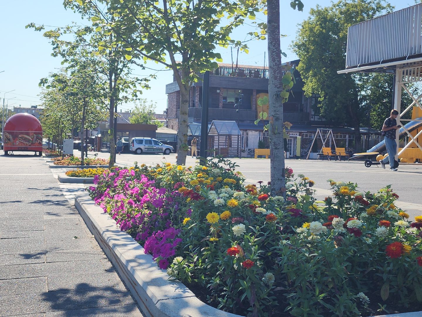 цветы, благоустройство, цветники, клумбы,