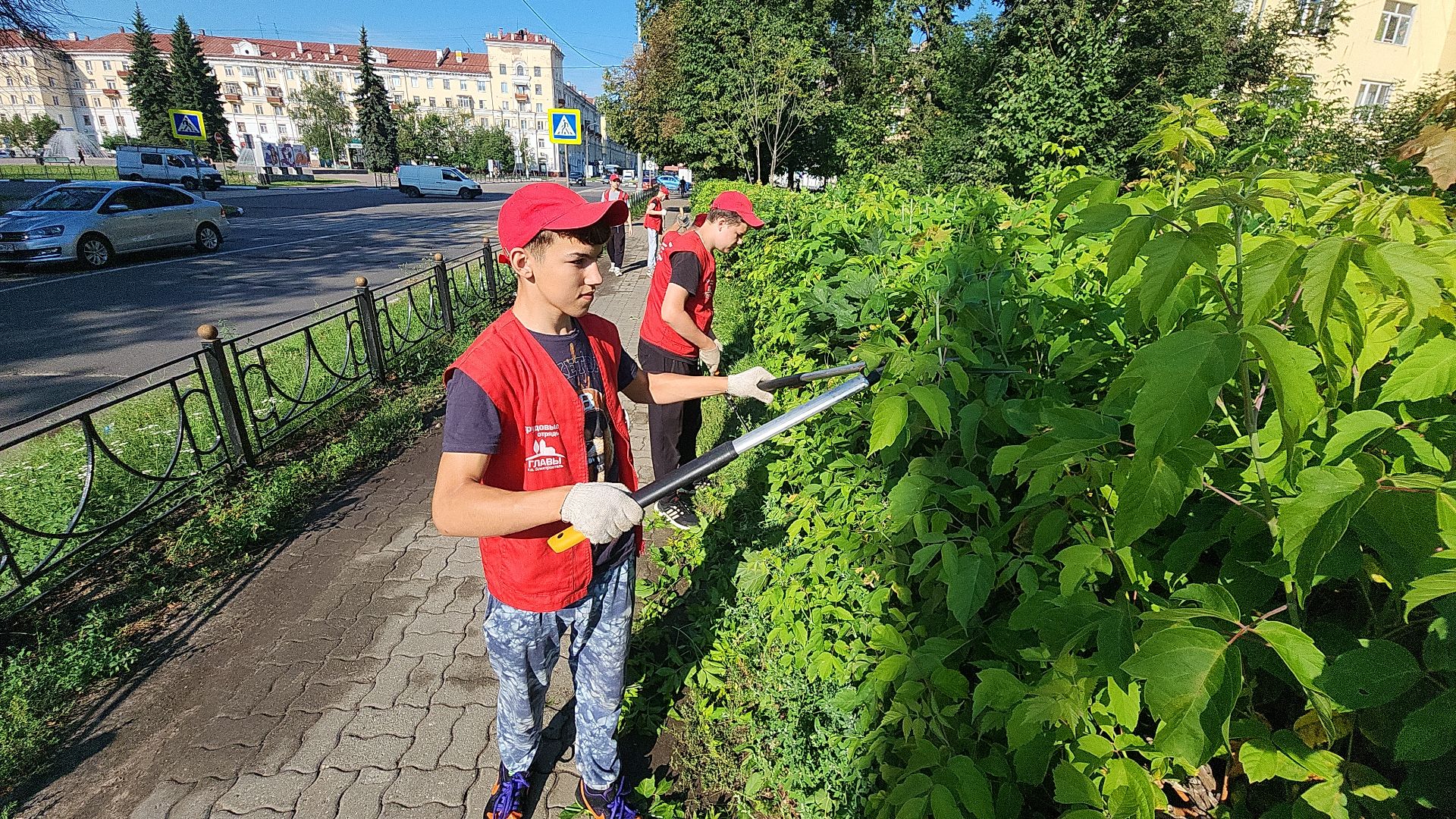 электросталь, мой город, жители города, волонтеры, молодежь, молодежь электростали, трудовые отряды, трудовые бригады,