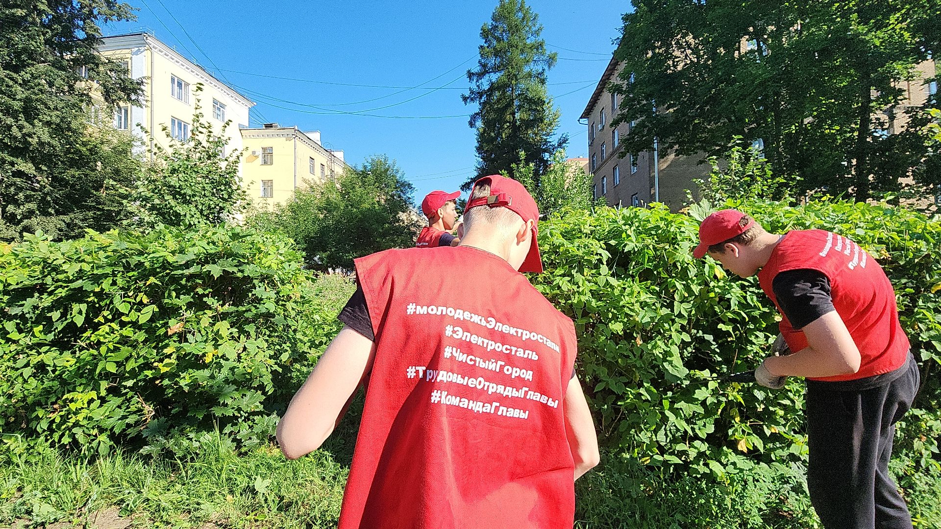 электросталь, мой город, жители города, волонтеры, молодежь, молодежь электростали, трудовые отряды, трудовые бригады,