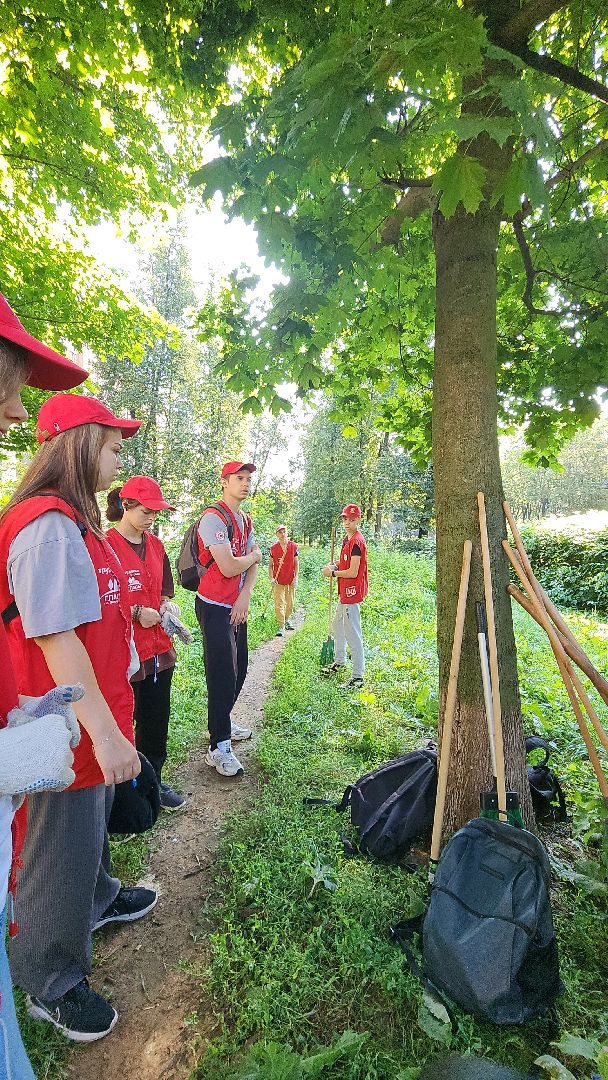электросталь, мой город, жители города, волонтеры, молодежь, молодежь электростали, трудовые отряды, трудовые бригады,