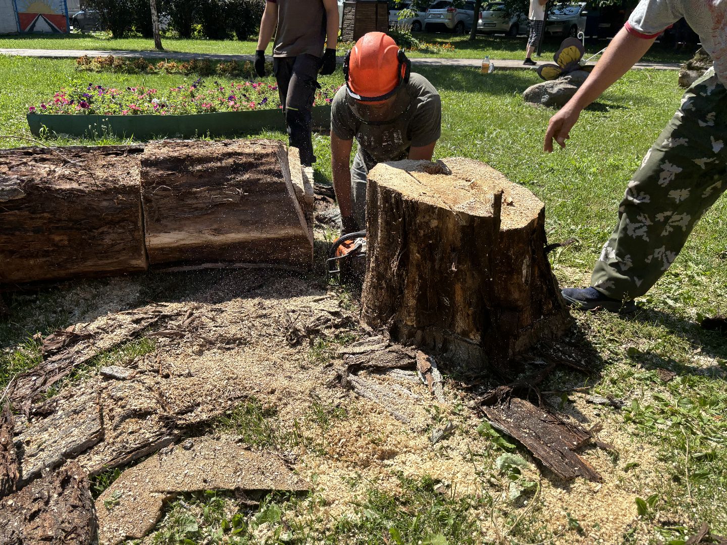 сухостои, мбу благоустройство,Кучино,