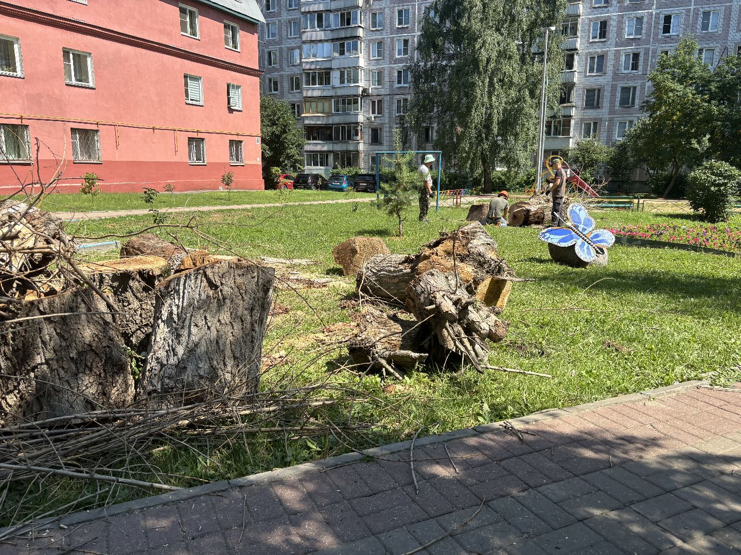 сухостои, мбу благоустройство,Кучино,