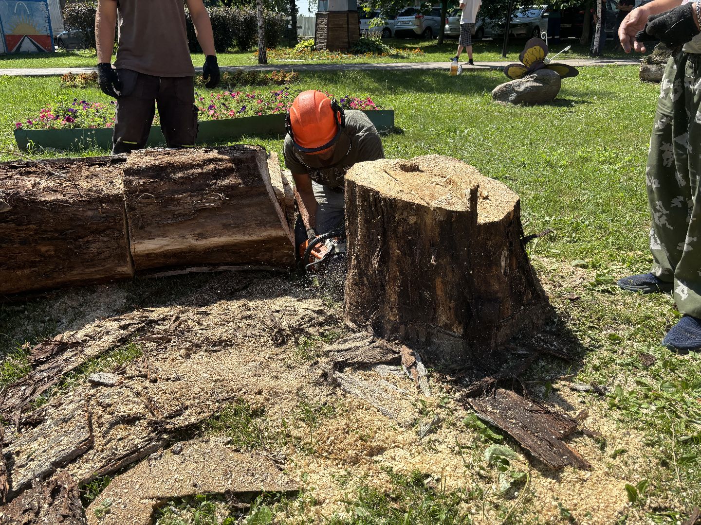 сухостои, мбу благоустройство,Кучино,