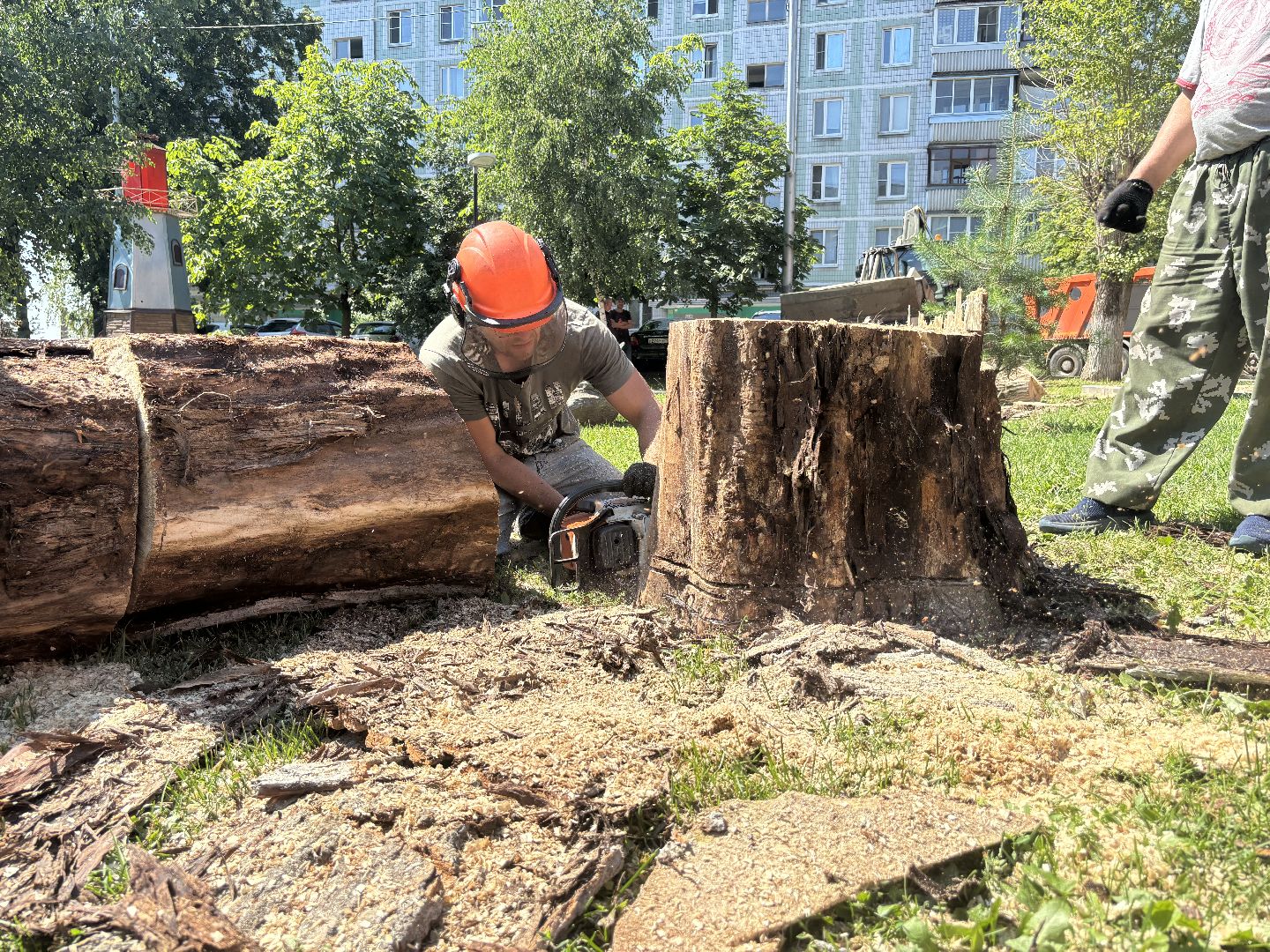 сухостои, мбу благоустройство,Кучино,