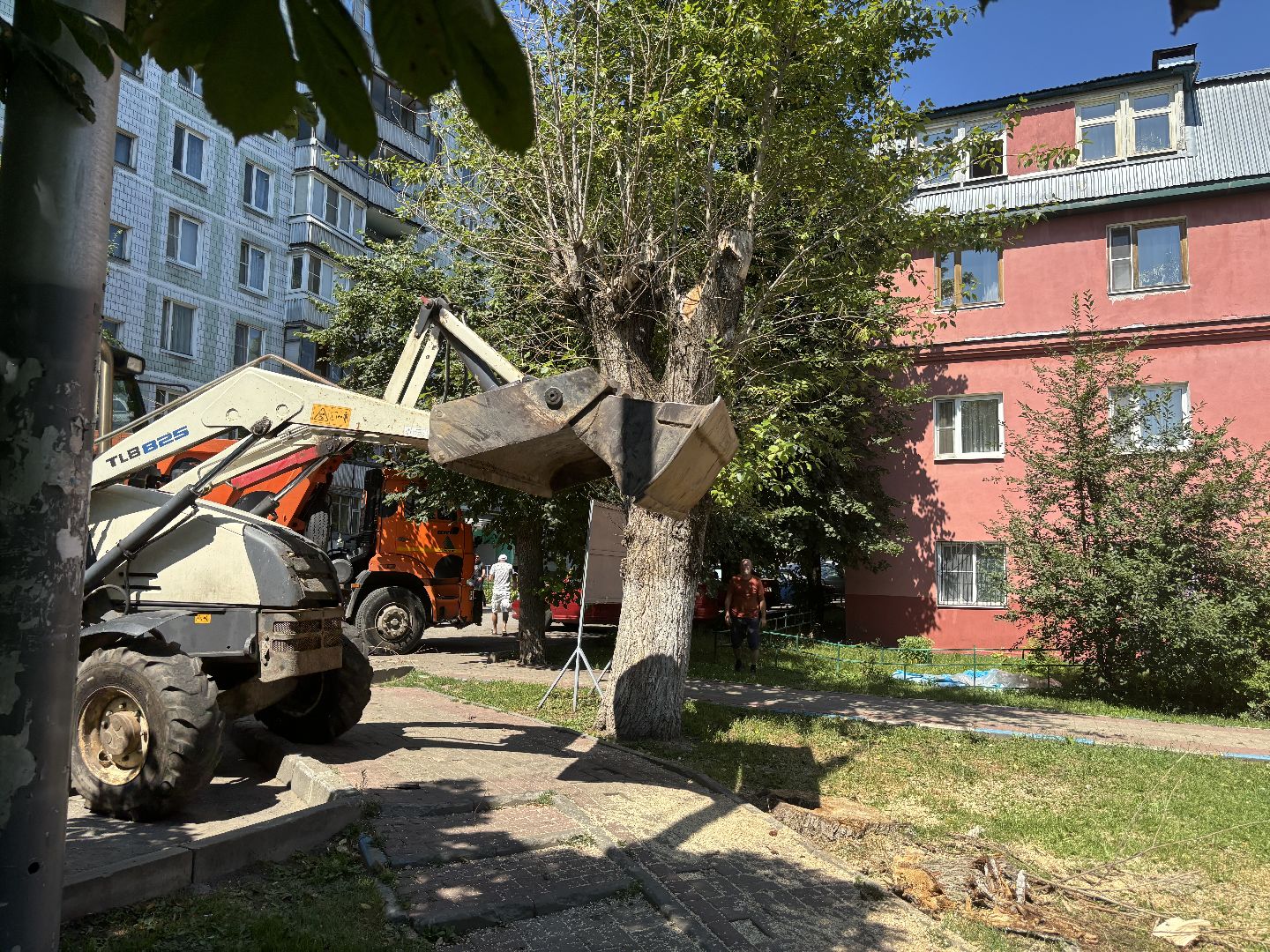 сухостои, мбу благоустройство,Кучино,